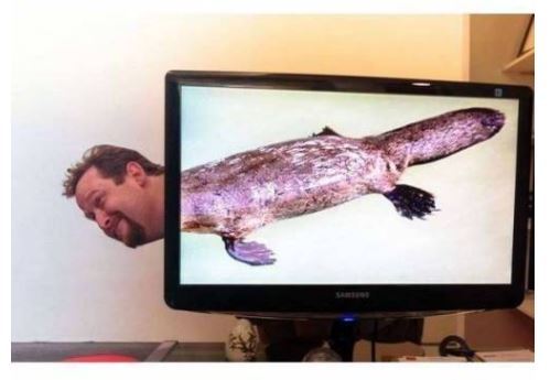 직장인들 사이에서 유행하는 놀이 | 인스티즈