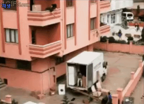 문과생이 이삿짐 센터에서 알바하는 만화 | 인스티즈