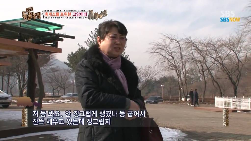 확실한 김첨지의 나라 대한민국.jpg(feat.키우던 반려묘 버리지마세요ㅜㅜㅜ) | 인스티즈