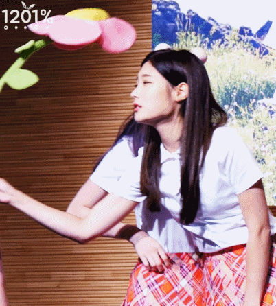 채연이는 똑똑하다vs안똑똑하다(feat. 다이아 97라인) | 인스티즈