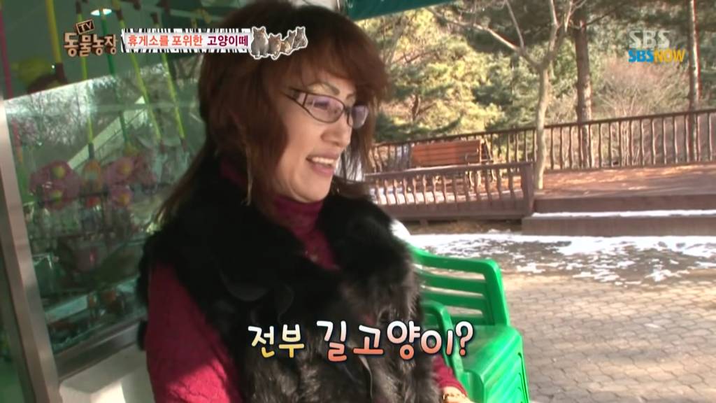 확실한 김첨지의 나라 대한민국.jpg(feat.키우던 반려묘 버리지마세요ㅜㅜㅜ) | 인스티즈