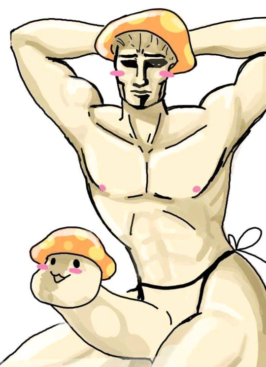 메이플 공모전에서 떨어졌는데 이유를 모르겠어요 | 인스티즈