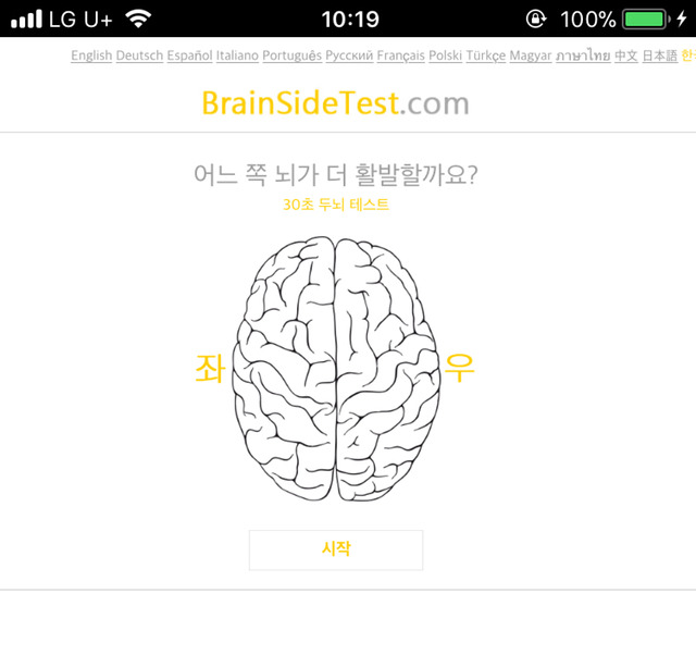 우뇌 좌뇌 테스트 | 인스티즈