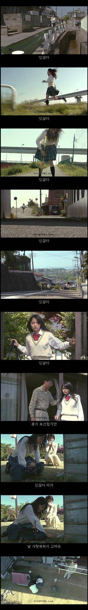 10번보면 10번 다 폭풍오열하는 이야기 [마리모이야기] | 인스티즈