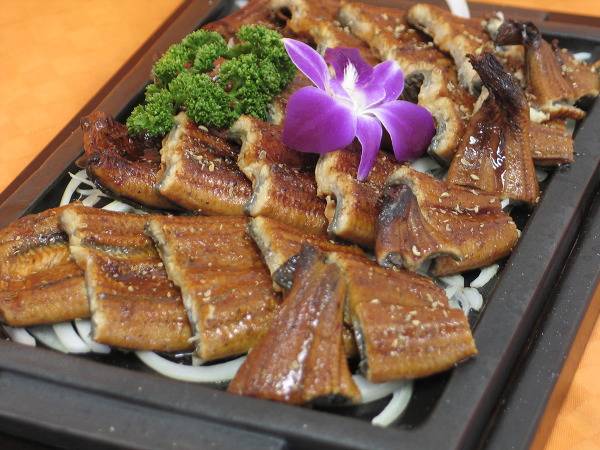  장어를 날로 먹으면 안되는 이유 | 인스티즈