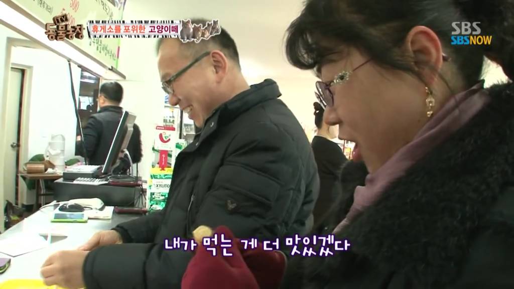 확실한 김첨지의 나라 대한민국.jpg(feat.키우던 반려묘 버리지마세요ㅜㅜㅜ) | 인스티즈