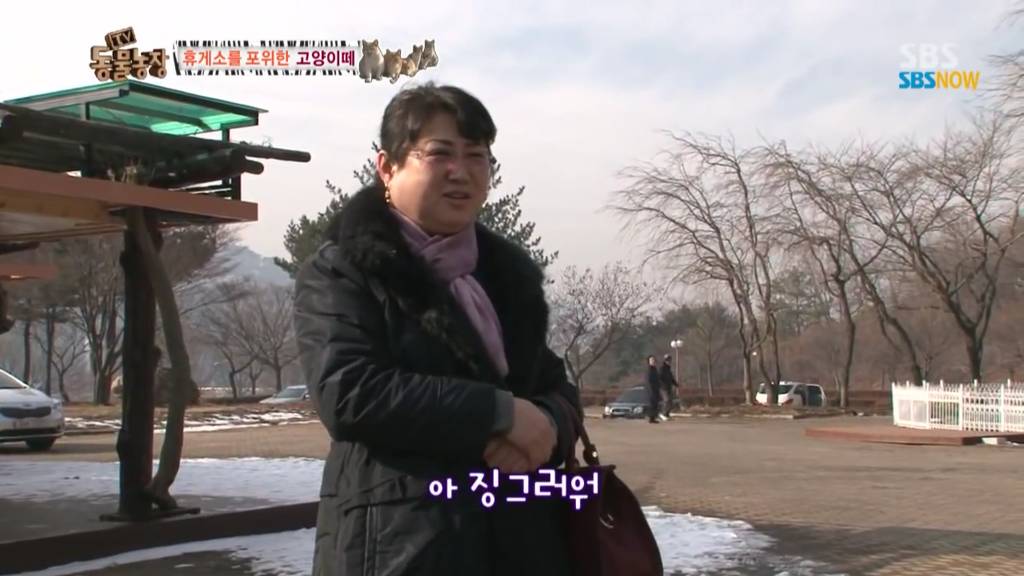 확실한 김첨지의 나라 대한민국.jpg(feat.키우던 반려묘 버리지마세요ㅜㅜㅜ) | 인스티즈