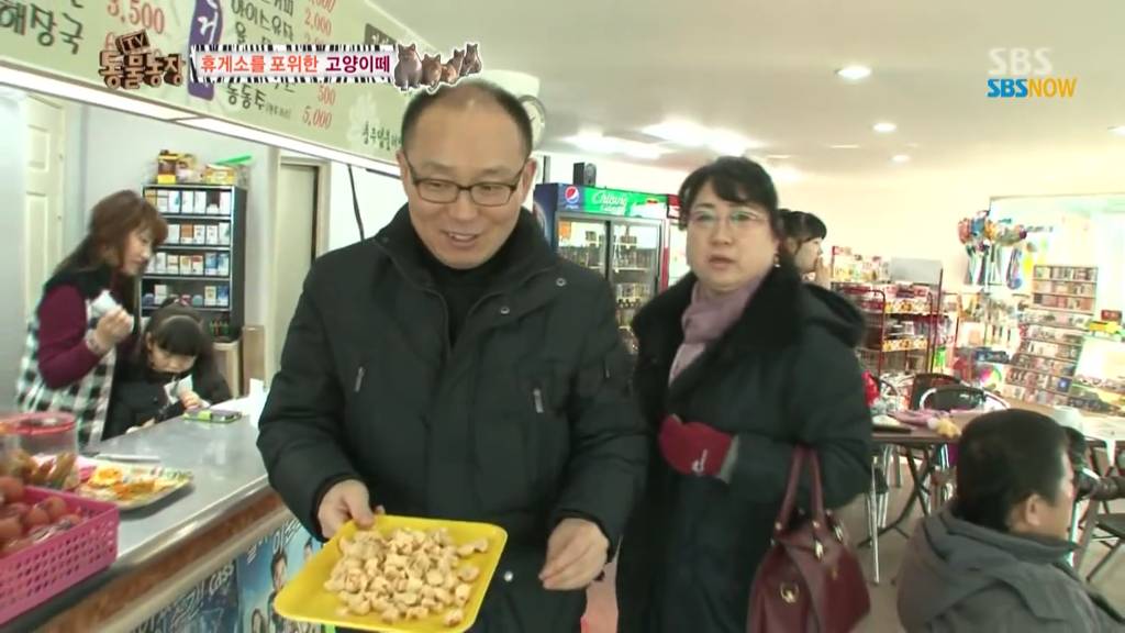 확실한 김첨지의 나라 대한민국.jpg(feat.키우던 반려묘 버리지마세요ㅜㅜㅜ) | 인스티즈