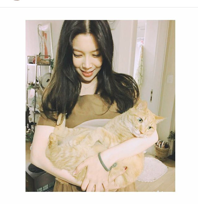 고양이 확대범 배다해 | 인스티즈