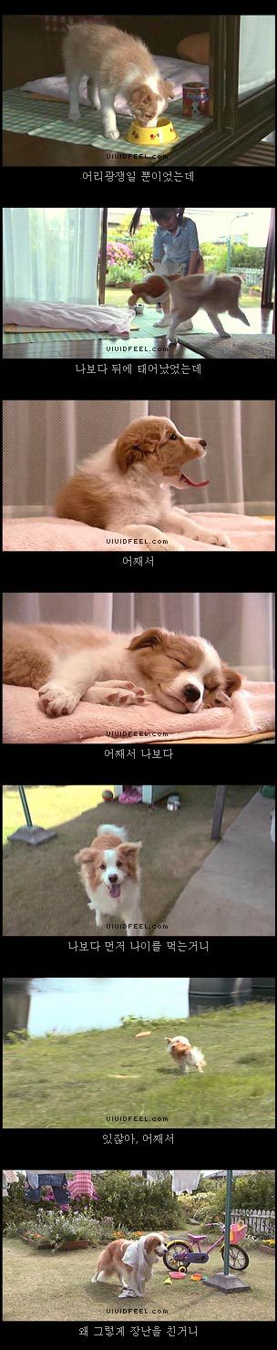 10번보면 10번 다 폭풍오열하는 이야기 [마리모이야기] | 인스티즈