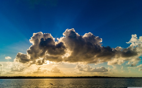 꿈이란 이룰 수 없다고 꿈이라 말하지만 | 인스티즈