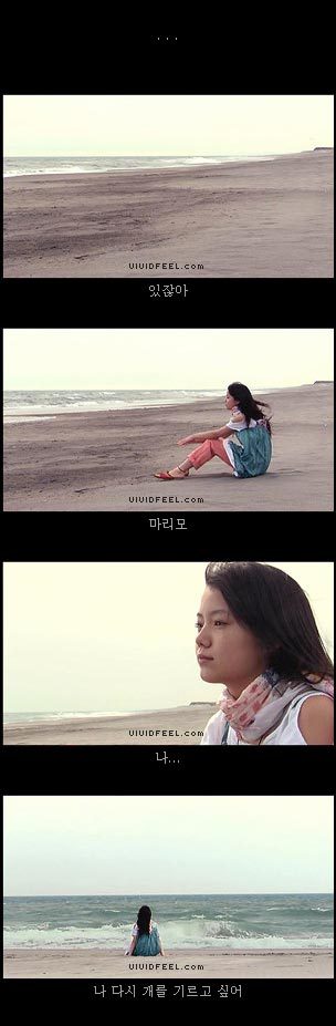 10번보면 10번 다 폭풍오열하는 이야기 [마리모이야기] | 인스티즈