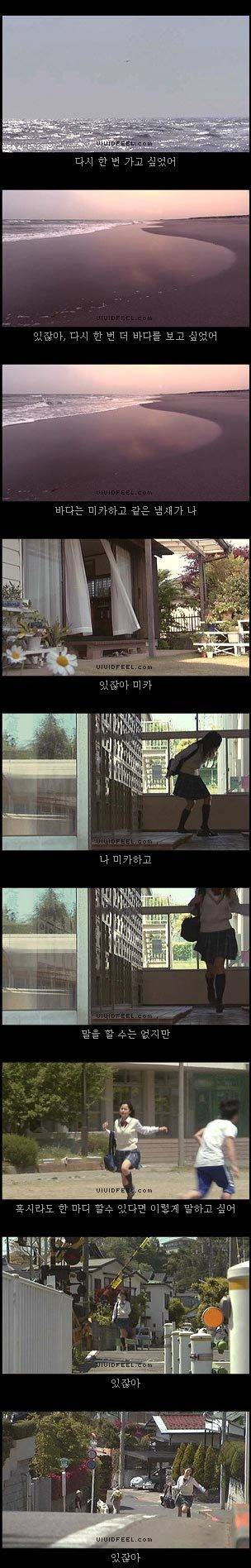 10번보면 10번 다 폭풍오열하는 이야기 [마리모이야기] | 인스티즈