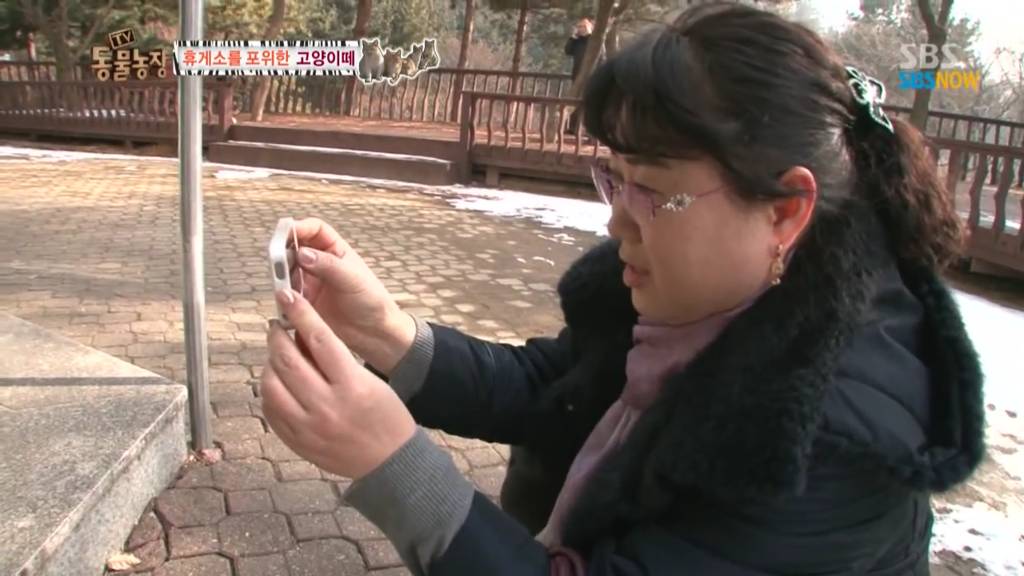 확실한 김첨지의 나라 대한민국.jpg(feat.키우던 반려묘 버리지마세요ㅜㅜㅜ) | 인스티즈