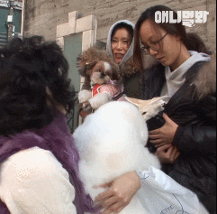 심쿵하게 하는 사막여우 레전드.gif | 인스티즈