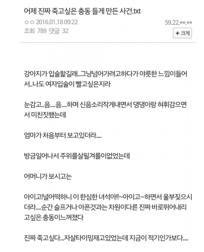 디씨인의 키스후기 인스티즈instiz 이슈 카테고리 