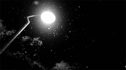 나는 이를테면 네가 좋아하는 영화의 여주인공처럼 굴고 싶어서 자꾸 질문했어 | 인스티즈