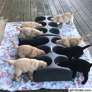 남의 떡이 커보인다.gif | 인스티즈