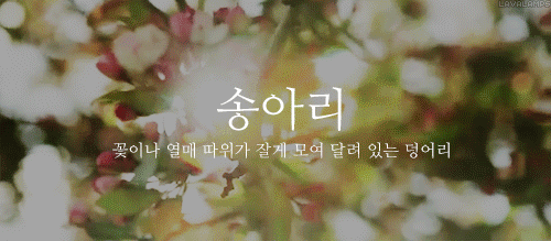 잘 모르는 이쁜 우리말1.gif | 인스티즈