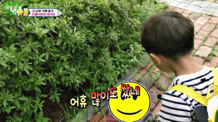 [슈돌] 강아지와 산책하다가 똥 치워주는 대박이 | 인스티즈