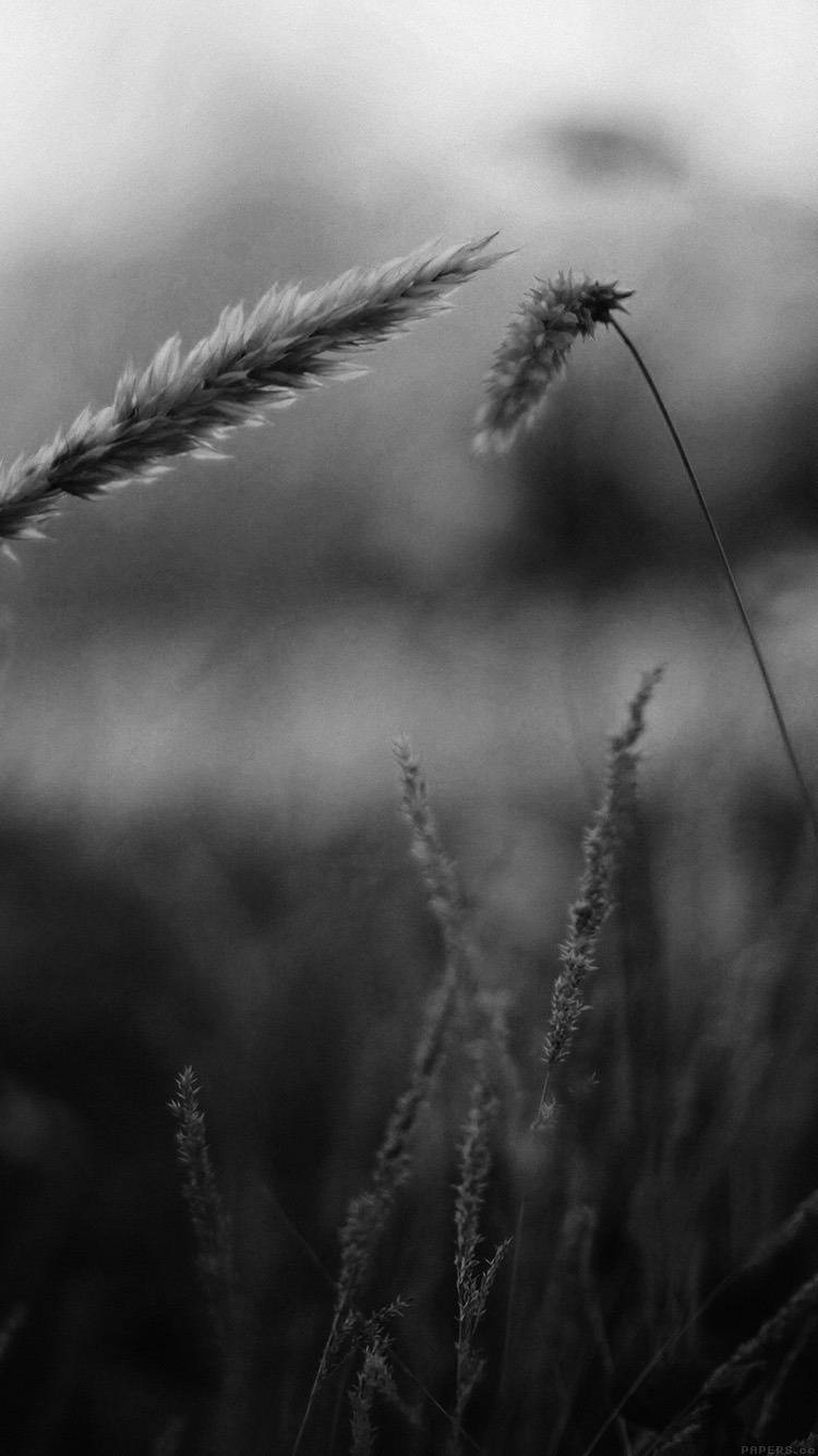 #.01 제가 좋아하는 스타일의 잠금화면 & 배경화면 50장. jpg | 인스티즈