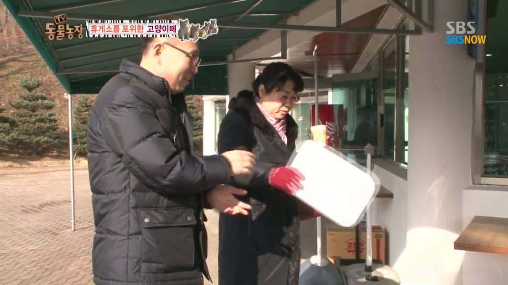 확실한 김첨지의 나라 대한민국.jpg(feat.키우던 반려묘 버리지마세요ㅜㅜㅜ) | 인스티즈