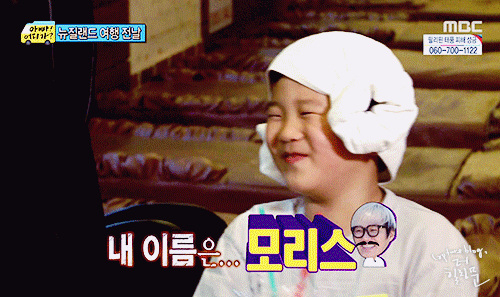 단언컨대 무도 이후로 예능 멤버 조합이 가장 완벽했던 예능 | 인스티즈