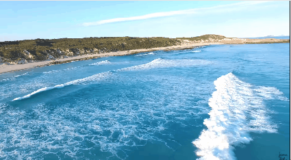 고래와 서핑 | 인스티즈