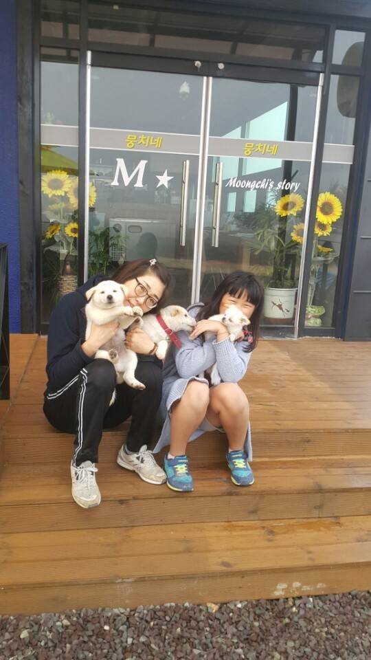 매실이 견주입니다. 정말 마지막 글이 될 것 같습니다. 마지막 관심 부탁드립니다 | 인스티즈