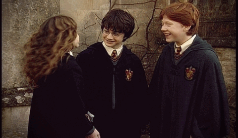 해리포터 비하인드 스토리 - 비밀의 방 (못다한 이야기) | 인스티즈