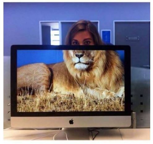 직장인들 사이에서 유행하는 놀이 | 인스티즈