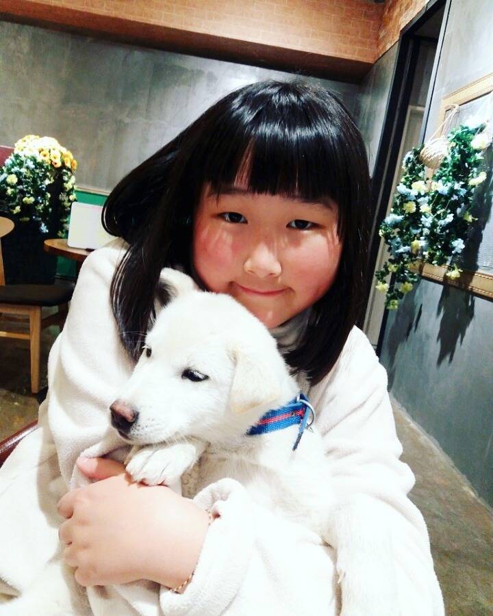 매실이 견주입니다. 정말 마지막 글이 될 것 같습니다. 마지막 관심 부탁드립니다 | 인스티즈