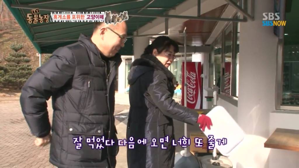 확실한 김첨지의 나라 대한민국.jpg(feat.키우던 반려묘 버리지마세요ㅜㅜㅜ) | 인스티즈