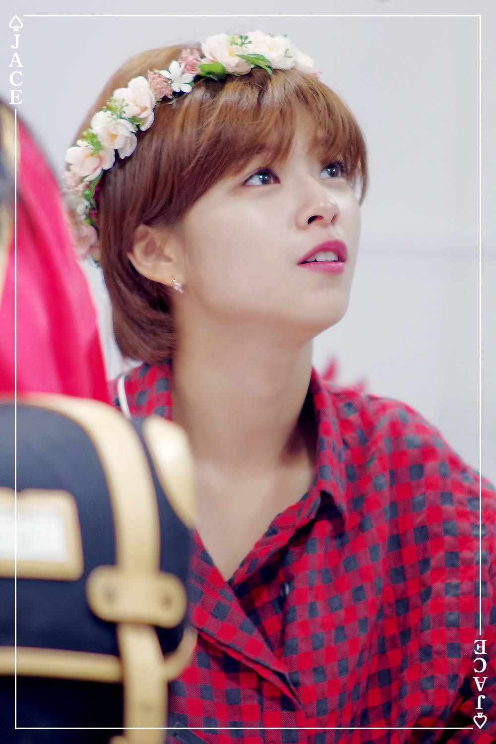 ???: 제가 한국의 페페입니다 | 인스티즈