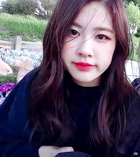 블랙핑크 로제 | 인스티즈