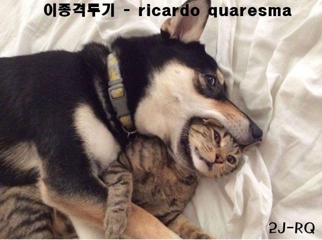 폐선명중시키는 대한민국 해군의 대함미사일 사격 훈련.GIF | 인스티즈