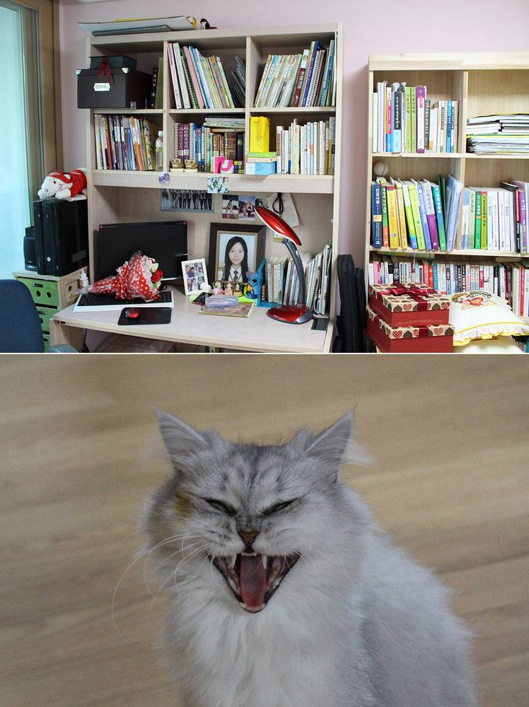 아이들의 빈방.jpg | 인스티즈