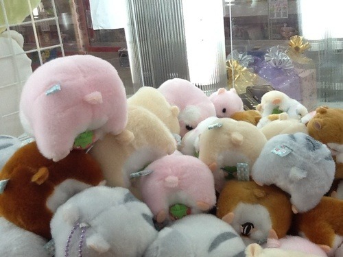 일본의 짱덕터지는 햄스터 인형 | 인스티즈