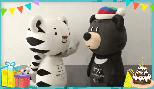 서로 생축해주는 수호랑과 반다비 ㅋㅋㅋ | 인스티즈