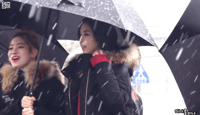 161126 첫 눈 오던 날 짠내나는 미나리 ㅠㅠ - 인스티즈(instiz) 인티영상 (종료) 카테고리