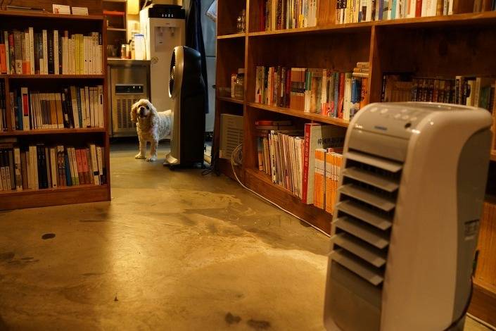 Part.3 독서&공부하기 좋은 북카페 모음 홍대/합정/상수 | 인스티즈