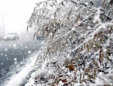 대한민국 참 여군 레전드 | 인스티즈