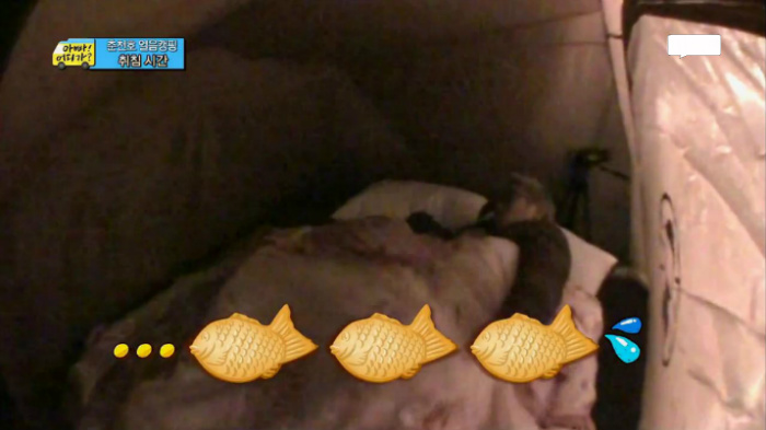 [아빠어디가] 아빠는 후를 싫어하지~? | 인스티즈