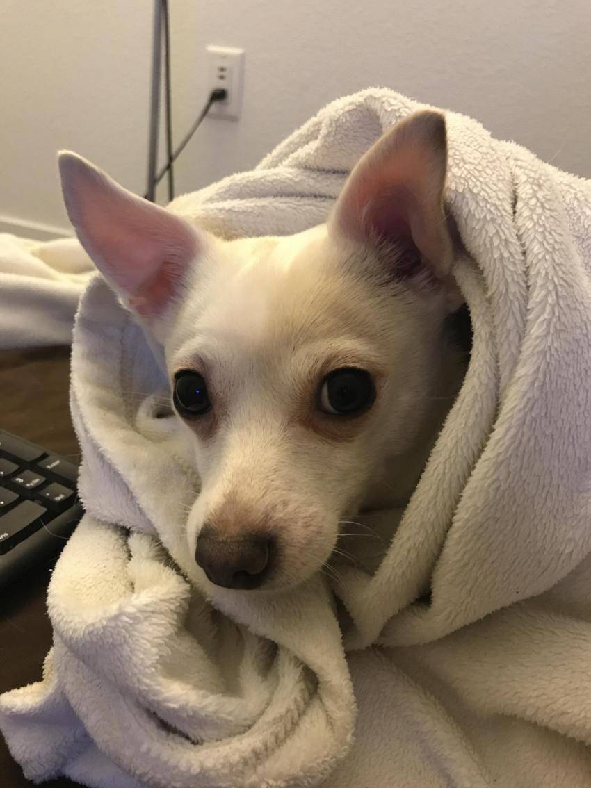 자주 가는 디씨 갤러리 | 인스티즈