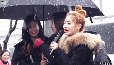 161126 첫 눈 오던 날 짠내나는 미나리 ㅠㅠ | 인스티즈