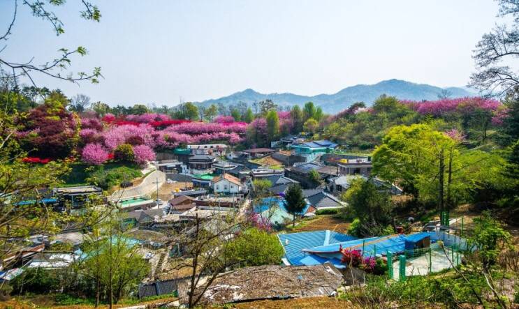 관광객보다 전주 시민들이 더 많이 가는 곳.jpg | 인스티즈
