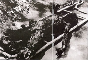 이들을 정말 같은 인간이라고 할수 있을까? (혐오주의) | 인스티즈