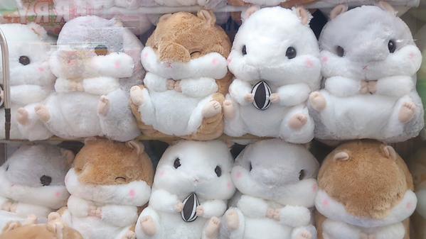 일본의 짱덕터지는 햄스터 인형 | 인스티즈