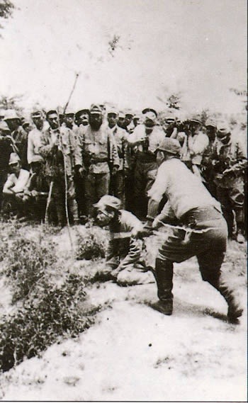 이들을 정말 같은 인간이라고 할수 있을까? (혐오주의) | 인스티즈