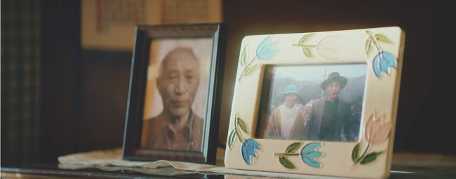 [MV] 홀로 남아 슬퍼하는 주인을 위한 두 고양이의 고군분투 배움열전 | 인스티즈